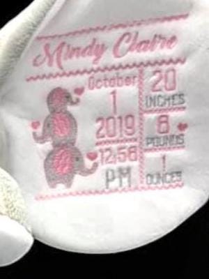 Personalized Embroidered Elephant Plush, Birth Stats Keepsake